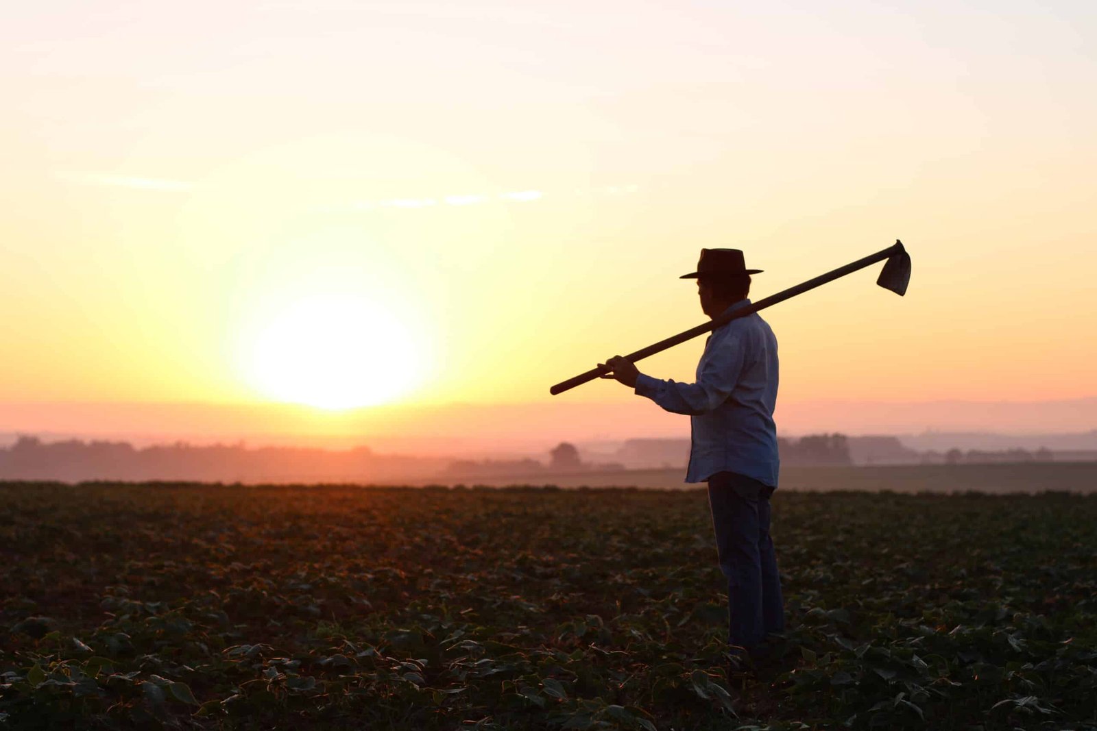 Quem tem tempo rural antigo precisa de início de prova material?